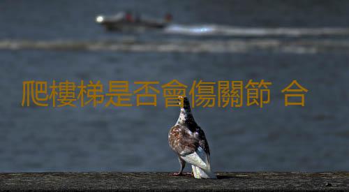 爬樓梯是否會傷關節 合理爬樓梯爬山需做好熱身運動