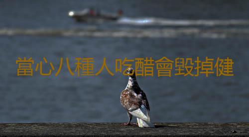 當心八種人吃醋會毀掉健康