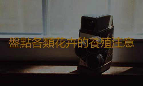 盤點各類花卉的養殖注意事項