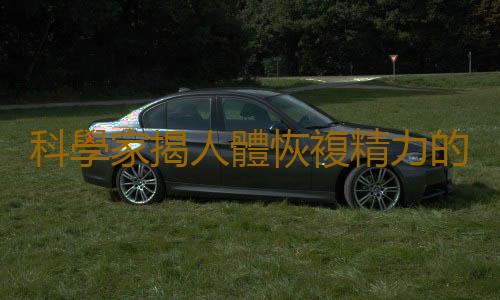 科學家揭人體恢複精力的真正“休息模式”