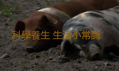 科學養生 生活小常識