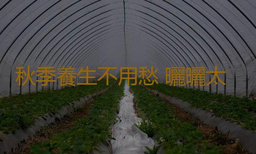 秋季養生不用愁 曬曬太陽全搞定