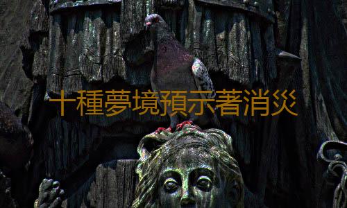 十種夢境預示著消災