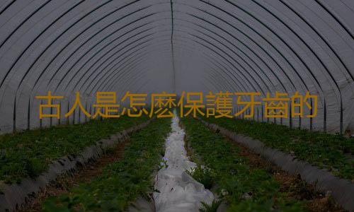 古人是怎麽保護牙齒的