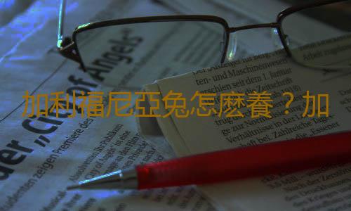 加利福尼亞兔怎麽養？加利福尼亞兔養殖方法