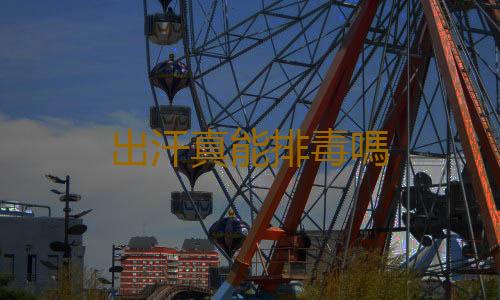 出汗真能排毒嗎