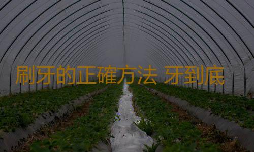 刷牙的正確方法 牙到底應該什麽時候刷