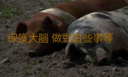 保護大腦 做對這些事等於給大腦買保險
