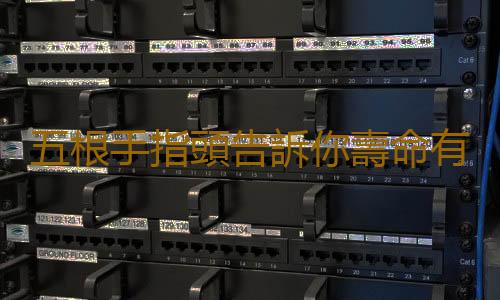 五根手指頭告訴你壽命有多長