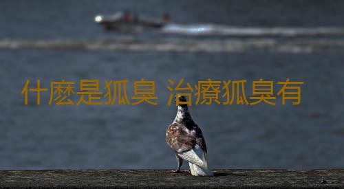 什麽是狐臭 治療狐臭有哪些小偏方