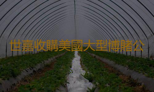 世嘉收購美國大型博賭公司 加強博賭類遊戲事業