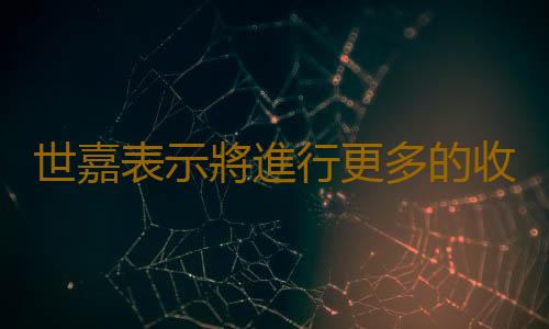 世嘉表示將進行更多的收購 而不是出售自己