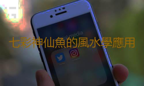 七彩神仙魚的風水學應用有哪些？