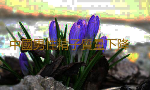 中國男性精子質量下降 IT等職業致畸概率高