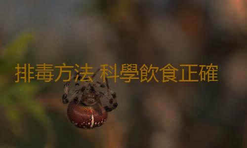 排毒方法 科學飲食正確排毒養膚