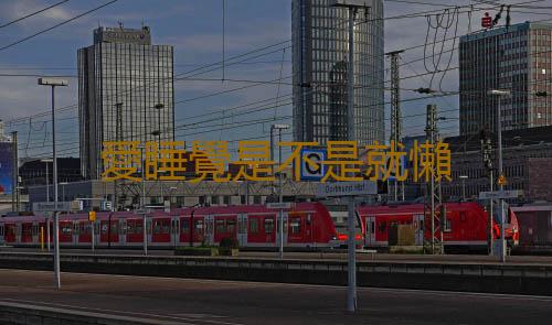 愛睡覺是不是就懶