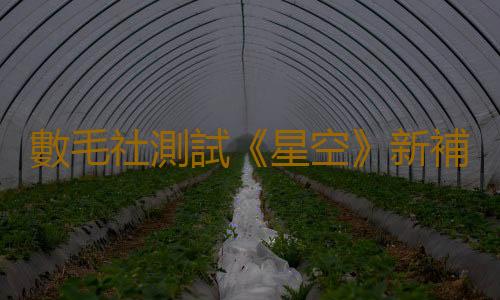 數毛社測試《星空》新補丁提升巨大：早就該這樣做