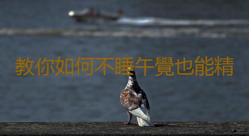 教你如何不睡午覺也能精神滿滿