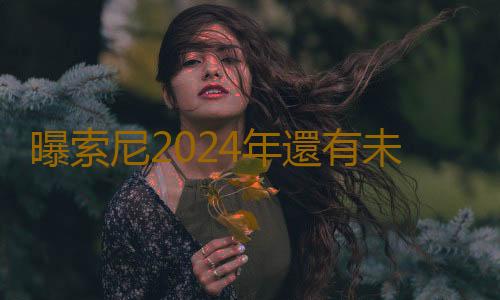 曝索尼2024年還有未公布的單人遊戲陣容