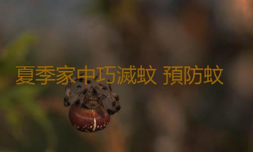夏季家中巧滅蚊 預防蚊咬引起小兒乙腦