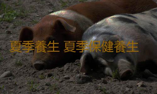 夏季養生 夏季保健養生有什麽方法