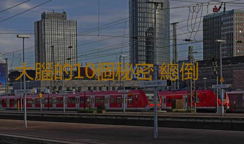 大腦的10個秘密 總倒時差傷記憶