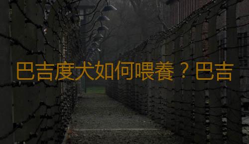 巴吉度犬如何喂養？巴吉度犬是什麽？