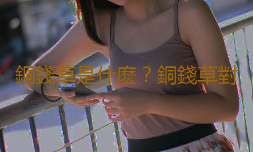 銅錢草是什麽？銅錢草對家居環境的影響