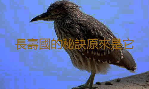 長壽國的秘訣原來是它