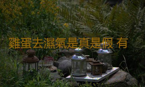 雞蛋去濕氣是真是假 有圖有真相