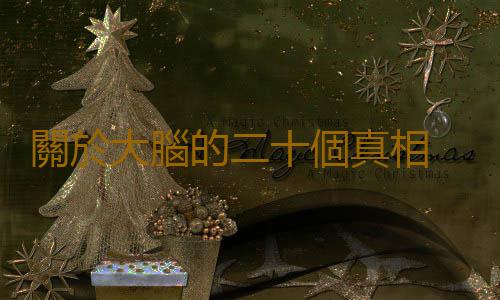 關於大腦的二十個真相 你不可不知