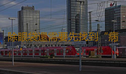 除眼袋還需要先找到“病根”
