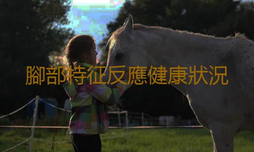 腳部特征反應健康狀況