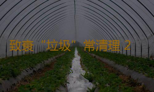 致衰“垃圾”常清理 2招恢複幹淨體質