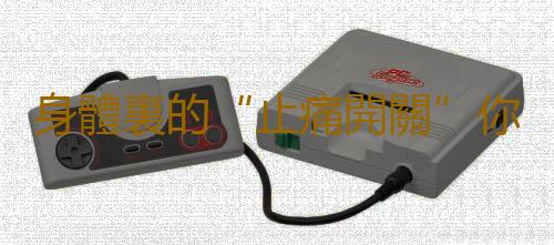 身體裏的“止痛開關”你知道嗎