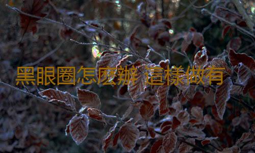 黑眼圈怎麽辦 這樣做有效祛除黑眼圈