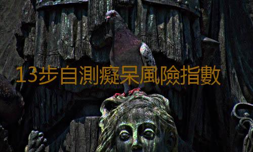 13步自測癡呆風險指數